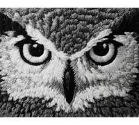 AYAOYANGGO DIY Animal Rug Making Kit Black and White Owl Latch Hook Craft Kits Carpet Crochet Kit for Adults Beginners DIY Rug Making Set Needlework for Home Decoration 23x35in
