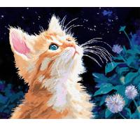 AYAOYANGGO DIY Animal Rug Making Kit Cat and Starry Sky Latch Hook Craft Kits Carpet Crochet Kit for Adults Beginners DIY Rug Making Set Needlework for Home Decoration 23x16in