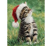 AYAOYANGGO DIY Animal Rug Making Kit The Cat in The Hat Cross Stitch Set for Children and Adults,DIY Handmade Latch Hook Rug Making Kit Crochet Carpet Set 35x46in