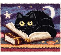 AYAOYANGGO DIY Animal Tapestry Kit Black Cat and Books Cross Stitch Rug Making Kit,Carpet Crochet Kits Embroidery Set Needlework Crafts for Home Decor 23x16in