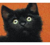 AYAOYANGGO DIY Animal Tapestry Kit Cartoon Black Cat DIY Rugs Set with Printed Canvas Floor Mat Crochet Yarn Embroidery Hook Latch Carpet Tapestry for Home Decoration 23x35in