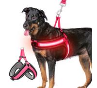 Ayaseen Dog Lighted Harness for Large Dogs, Pink, Paisley Reflective Safety, No Escape, No Pull, No Chocking, Adjustable, LED Lights with Multiple Modes