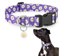Ayaseen Girl Dog Collar for Small Dogs, Floral Girl Boy Purple Dog Collars with Daisy Charm, Soft Flower Cute Pet Collar - Purple, S