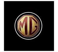 AYBEN Car Door Projector Lights, for MG ZS 2017-2024 Car Door Step Courtesy Welcome Lights Puddle Ghost Shadow LED Lights,B