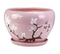 AYCDL Ceramic Planter Pot Beautiful Plant Pots for Indoor & Outdoor Flowers & House Plants with Drain Hole Saucer,18cm