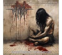 AydrA Hyperlogical Non-sense (Vinyl) 12" Album Coloured Vinyl (Limited Edition)