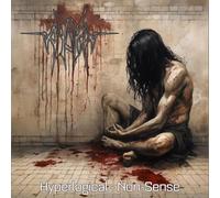Aydra - Hyperlogical Non-Sense [VINYL]
