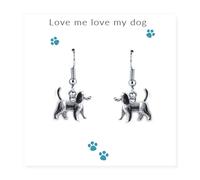 Aye Do Gifts Women's Love Me Love My Dog Earrings & Gift Card in Silver Aye Do Gifts Silver One Size