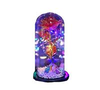 AYKNINGD Eternal Rose,Forever Rose Valentine's Day Creative Gift Box Artificial Flower Rose Glass Cover Valentine's Day Gift Golden Rose Eternal Love(Red)