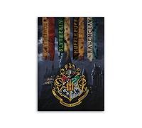 AYMAX S.P.R.L Compatible with Harry Potter Fleece Blanket, 100 x 140 cm, Microfibre