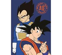 AYMAX S.P.R.L Dragon Ball Super Son Goku and Vegeta Fleece Blanket 140 x 100 cm, Blue (AYM-052DBS-PF)