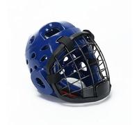 Aymzbd Arts Face Sparring Headgear Carbon Steel Face Cage Dense Padding Comfortable Fit Suitable for Taekwondo Karate Kendo Fencing Training, Blue, L
