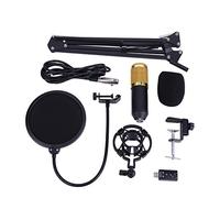 AYNEFY Condenser Microphone Kit, PC Microphone Set with Adjustable Stand, Spider Anti Shock, Anti-Wind Filter for Recording, Streaming, Podcasting