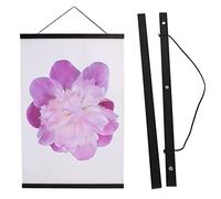 Aynoo Magnetic Poster Hanger Frame, 16x24 16x22 16x20 Picture Frame Hanger, 16 Inch Magnetic Hanger Frame,Black