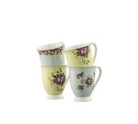 Aynsley China 'Archive Rose' 4 Mugs Set Aynsley China Multicolor