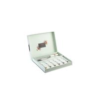 Aynsley China 'Archive Rose' Pastry Set Aynsley China Multicolor