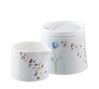 Aynsley China Aynsley Camille Pale Jade Sugar & Creamer