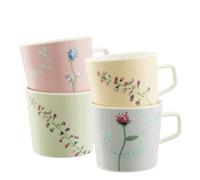Aynsley China Aynsley Camille Pastle Set of 4 Mugs