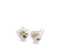 Aynsley China 'Cottage Garden' Cream & Sugar Set Aynsley China Multicolor