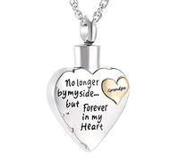 Ayoiow Ashes Necklace Engraved, Stainless Steel Ash Necklace Engrave “No Longer by My Side.but Forever in My Heart“ Silver Dog Ashes Memorial