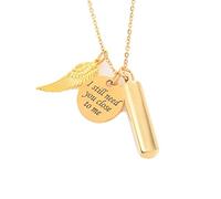 Ayoiow Cremation Pendant Dad, Stainless Steel Ash Necklace Engrave “I Still Need You Close to me“ Gold Dog Ashes Memorial