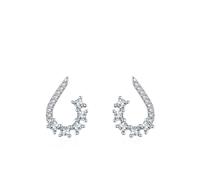Ayoiow White Gold/Platinum Dainty Earrings for Women Studs White Moissanite, Statement Earrings for Women Trendy, Cluster