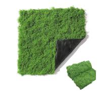 Ayrirel Artificial Moss Fake Moss Mat 1m×1m Green Faux Grass Trimable Fake Moss for Crafts, Decorative Fairy Garden, Wedding Party Decor (Green grass)