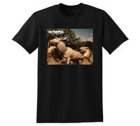 AYTAPUGE Interpol T Shirt Our Love to Admire Vinyl cd Cover Black S