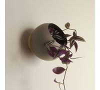 AYTM Globe wall-mounted flower pot, Ø 17 cm, grey-brown, aluminium