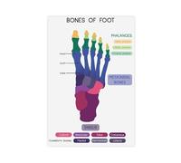AYTREDF Foot Bones, Human Anatomy, Study, Medical Poster, Biology Canvas Poster Bedroom Decor Landscape Office Room Decor Gift 20x30inch(50x75cm)