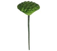 Ayuduots Artificial Lotus, Long Stem Green Plant Artificial Flower for Landscape, Home Garden Decor - Lotus Seeds