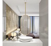 AYVADA Modern Ceiling Hanging Oval Mirror with Gold Metal Framed Bathroom Floating Makeup Shaving Mirror, Decorative Simple Mirror Clear and Practical(40cmx60cm)