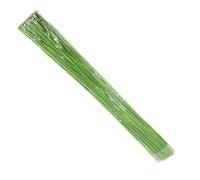 AYXAMO Flower Stems, Floral Wire Stems 100pcs Bouquet Accessories Floral Wire Stems Wreath Making Flower DIY Flower Craft Iron Wire Flower Pole(Green)
