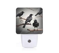 AYYQWE Black Crow Birds On A Branch Print Night Light for Bedroom Kids Room Bathroom Dorm Living Room Safety Home Decor Gift