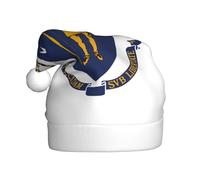 AYYQWE Massachusetts State Flag Print Santa Hat for Men Women Decor Party New Year Festive Celebrations Christmas Cap