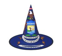 AYYQWE Michigan State Flag Print Comfortable Unisex Carnival Party Hat Cosplay Costume Masquerade Celebrations