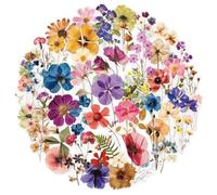 AYZDJ 100pcs Flower Stickers for Scrapbooking - Transparent PET Floral Stickers Set, Natural Pressed Flower Aesthetic for Journal, Laptop, Card Making & Craft Supplies