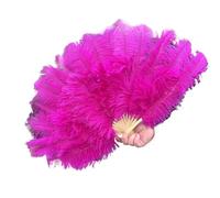 Ayztantine Folding Hand Fan 70 * 40CM Big Feather Fans Black Feather Fan Party Dance Performance Hands Held Folding Fan 15 Bones(Rose,10PCS 70cmx40cm)