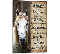 AYZYSMBM A Horse Is Not Just A Horse He Is Sanity He Is Happiness He Is A Teacher He Is Therapist Metal Tin Poster For Living Room Decor Home Decor Office Decor Farmhouse Decor Church 8X12 Inch