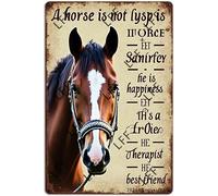 AYZYSMBM Funny Retro Tin Sign A Horse Is Not Just A Horse He Is Sanity He Is Happiness He Is A Teacher He Is Therapist Metal Poster Plaques Home Decoration Canvas Painting Poster 12X8Inch