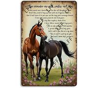 AYZYSMBM Retro Metal Tin Sign, Beautiful Horse Remember Me With Smiles Not Tears Well Be United Evermore Home Bar Shop Decorations Coffee Vintage Sign Gift 8X12 Inch