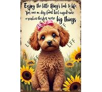 AYZYSMBM Vintage Tin Sign - Enjoy The Little Thing_S In Life, They Were The Big Thing_S Cavapoo Dog - Wall Art For Home Or Office Decore Poster For Spiritual - Metal Plaque 8 Inch X 12 Inch