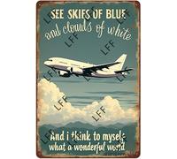 AYZYSMBM Wall Decor Tin Sign Airplane I See Skies Of Blue, And Clouds Of White, And I Think To Myself Metal Tin Poster For Living Room Decor Home Decor Office Decor Farmhouse Decor Church 8X12 Inch