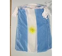 AZ FLAG - Argentina Bunting Flag - 40 Ft Garland with 20 Argentine Flags 18'' x 12'' - 100% Polyester String Pennant - 12 meters