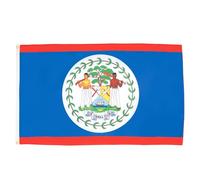 AZ FLAG - Belize Flag - 2x3 Ft - 100D Polyester Belizean Banner with Two Metal Grommets - Fade Resistant - Vivid Colors - 2' x 3' Feet - 90x60 Cm