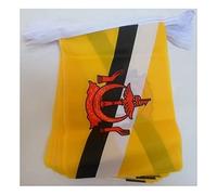 AZ FLAG - Brunei Bunting Flag - 40 Ft Garland with 20 Bruneian Flags 18'' x 12'' - 100% Polyester String Pennant - 12 meters