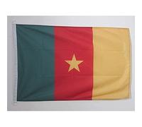 AZ FLAG - Cameroon Flag - 2x3 Ft - For Outdoor - Cameroonian Banner Knitted Polyester with Two Plastic Rings - Fade Resistant - Vivid Colors - 2' x 3' Feet - 90x60 Cm