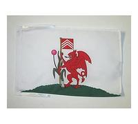 AZ FLAG - Cardiff Flag - 18'' x 12'' - 100% Polyester Cardiff - Walles Small Banner with Two Cords - Fade Resistant - Vivid Colors - 18x12 in - 45x30 Cm