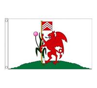 AZ FLAG - Cardiff Flag - 3x5 Ft - 100D Polyester Cardiff - Walles Banner with Two Metal Grommets - Fade Resistant - Vivid Colors - 3' x 5' Feet - 150x90 Cm