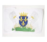 AZ FLAG - Charles VII of France Coat of arms Flag - 18'' x 12'' - 100% Polyester French Kingdom Small Banner with Two Cords - Fade Resistant - Vivid Colors - 18x12 in - 45x30 Cm